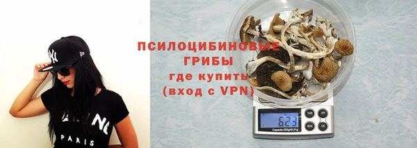 твердый Абаза