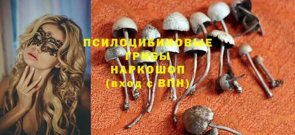 твердый Абаза