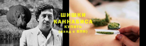 твердый Абаза
