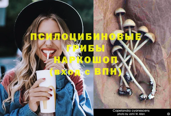ECSTASY Абдулино